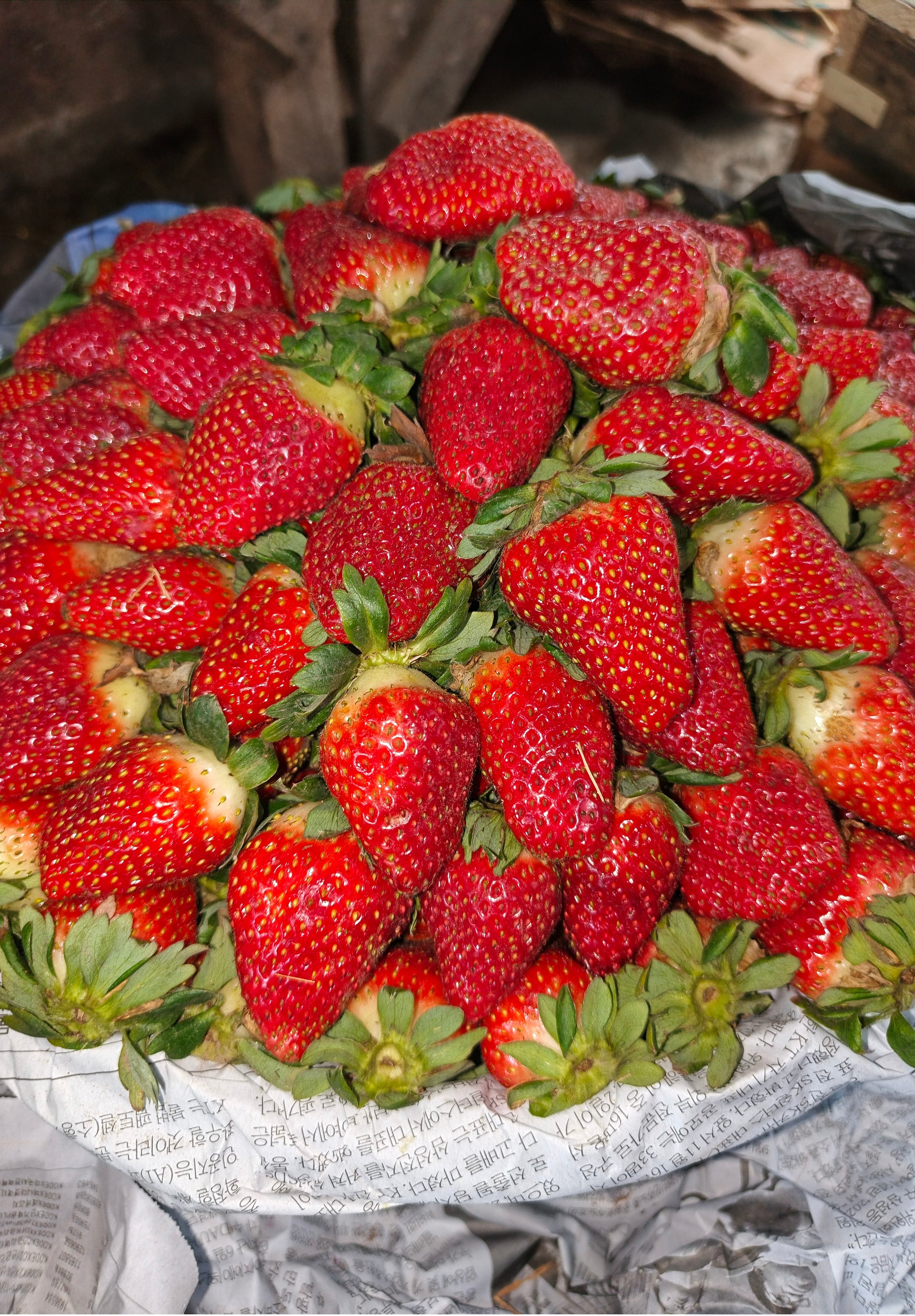 5 Kg Strawberry - A grade export quality
