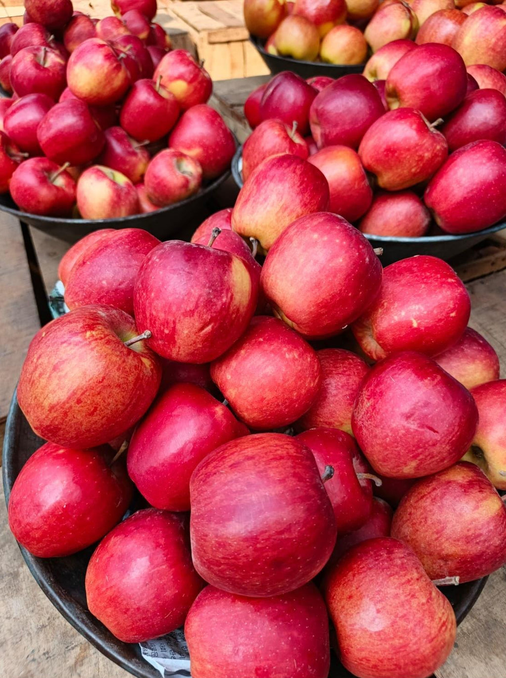 Red kashmiri Apple - A grade export quality