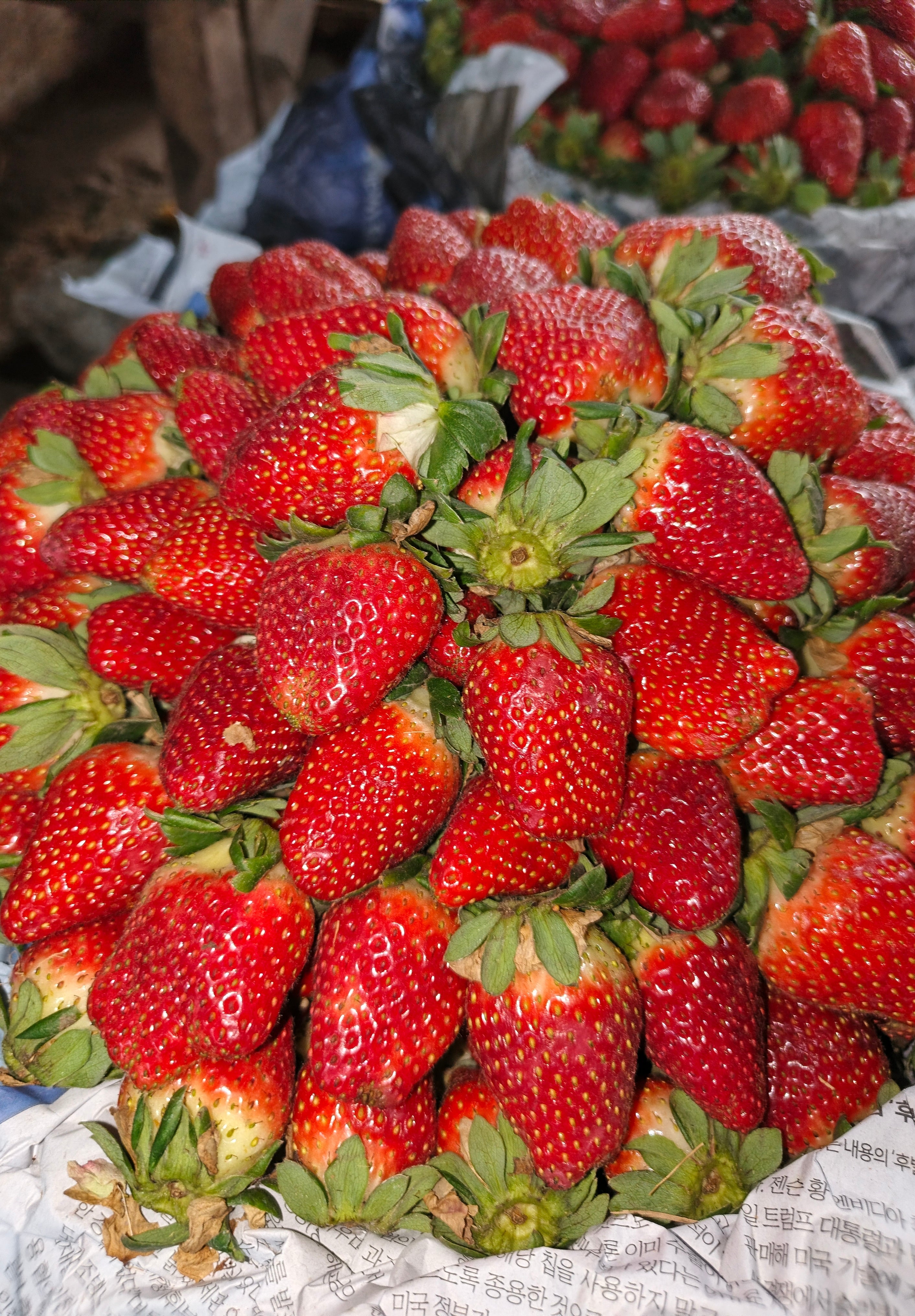 5 Kg Strawberry - A grade export quality