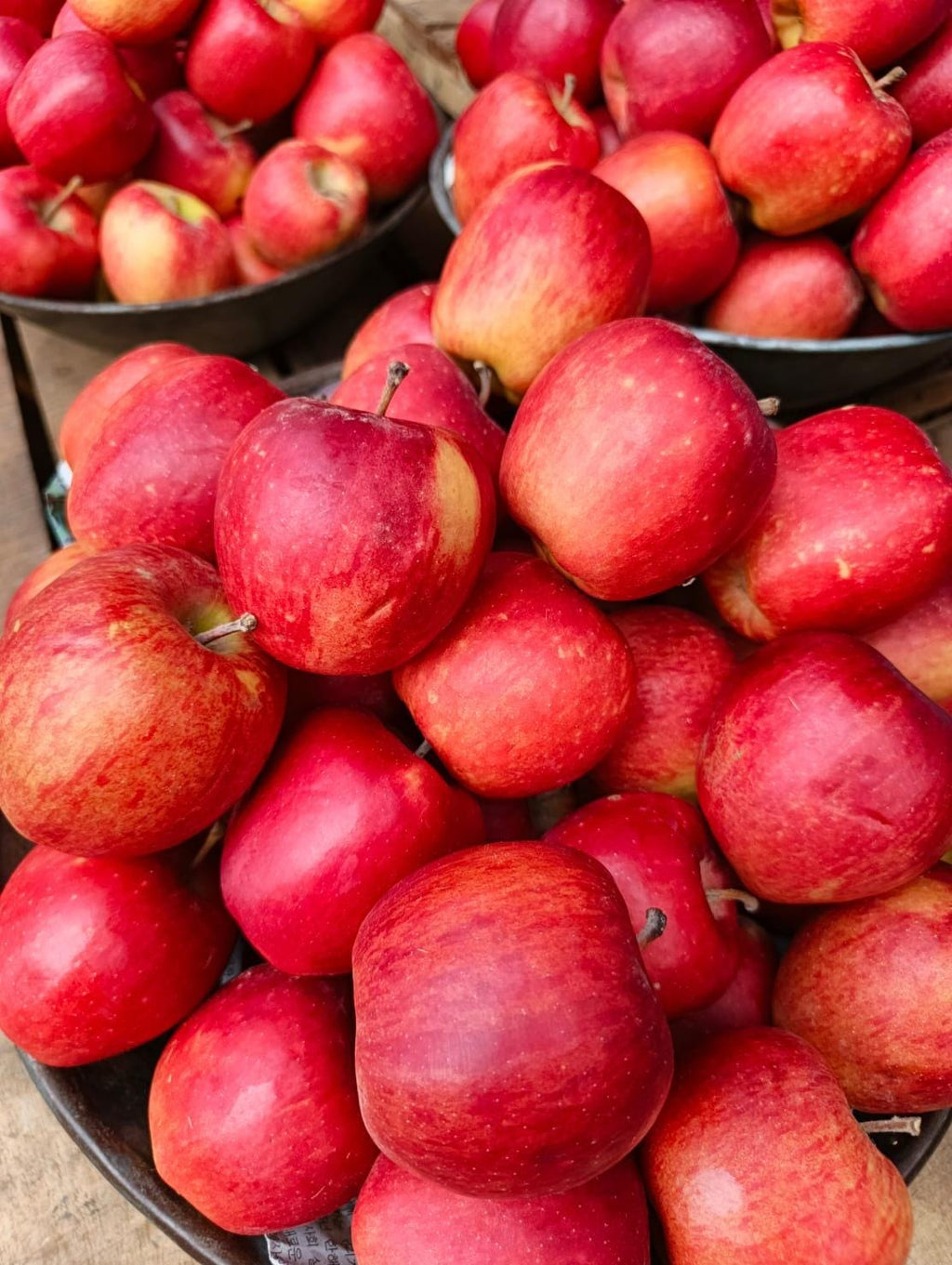 Red kashmiri Apple - A grade export quality