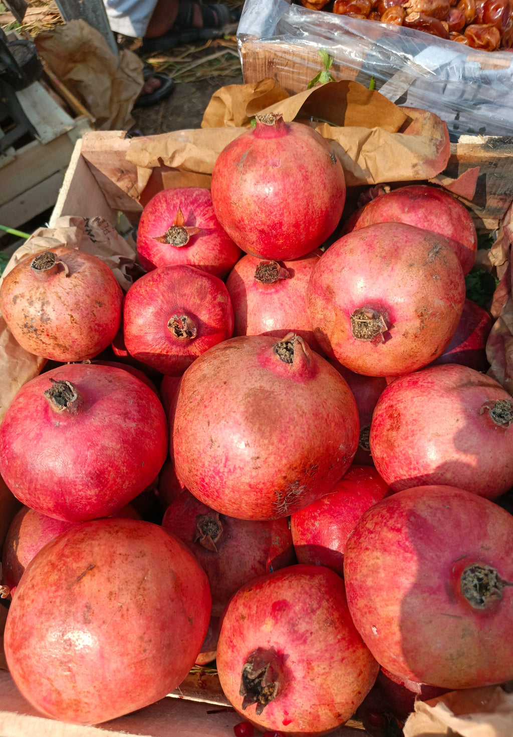 Red khandhari Annar - A grade export quality