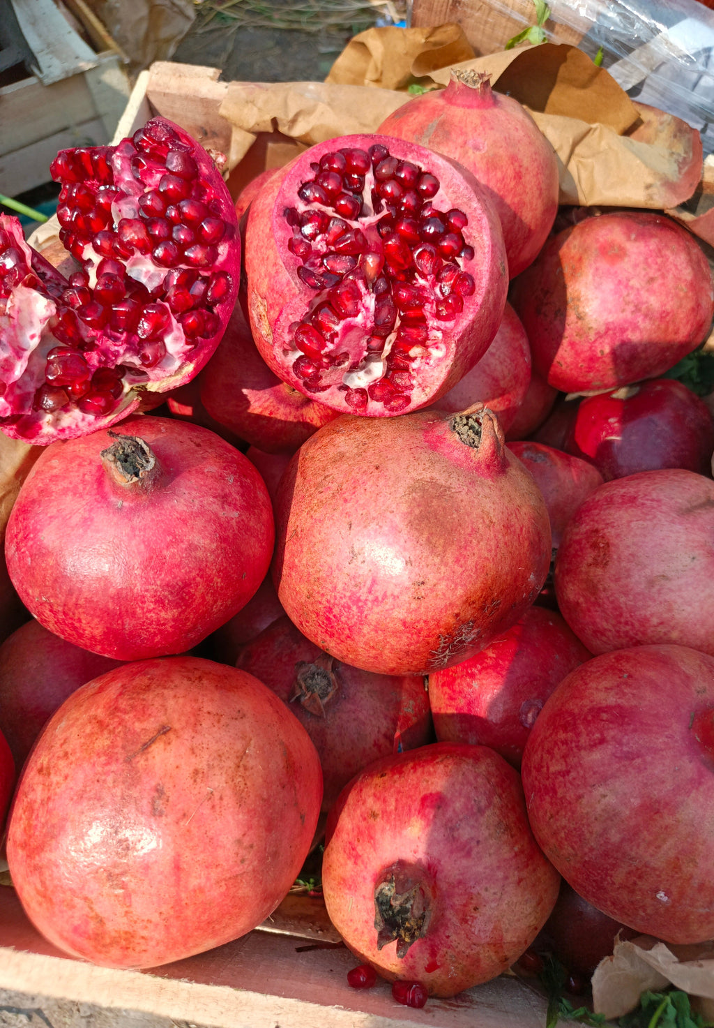 Red khandhari Annar - A grade export quality