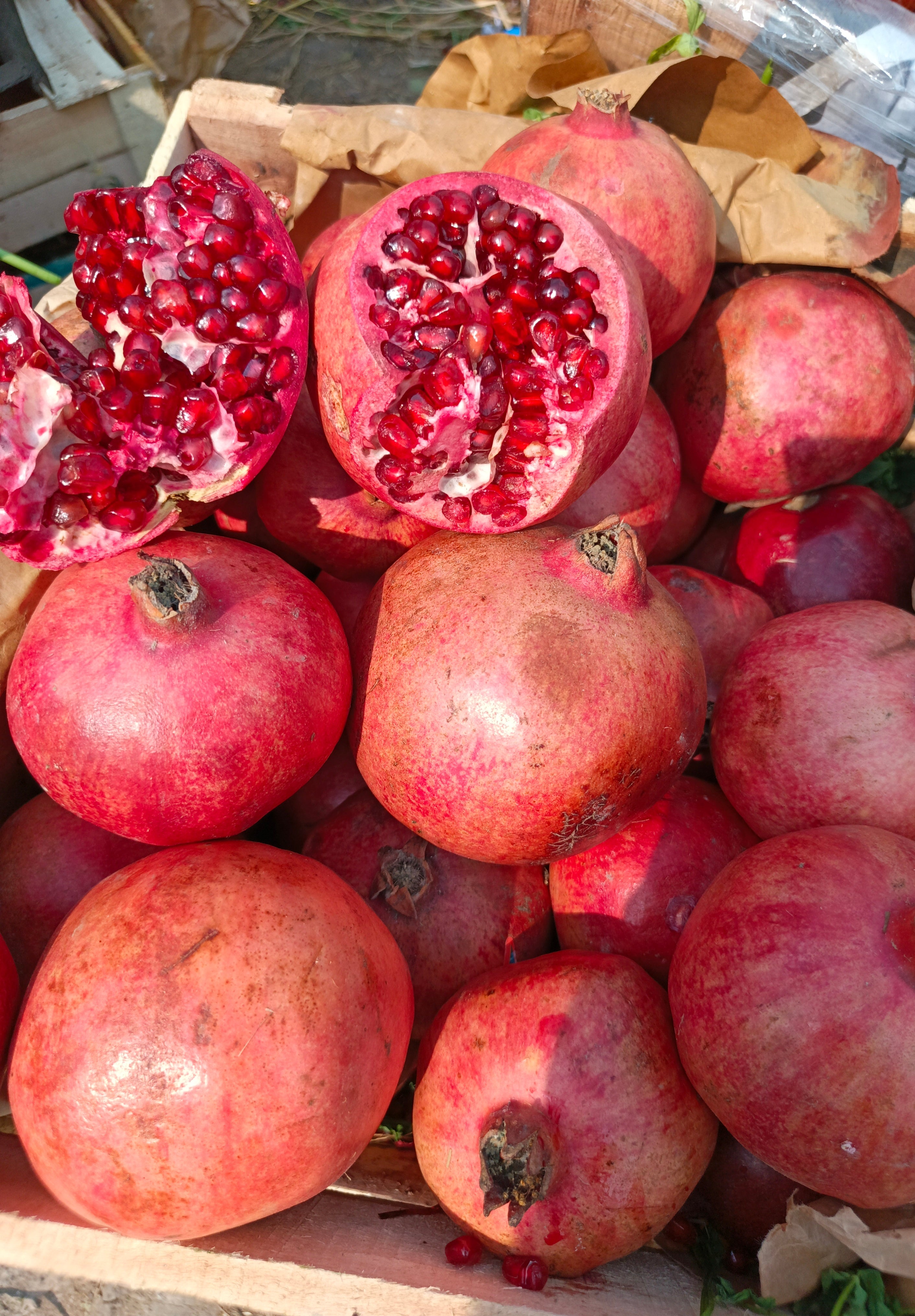 Red khandhari Annar - A grade export quality