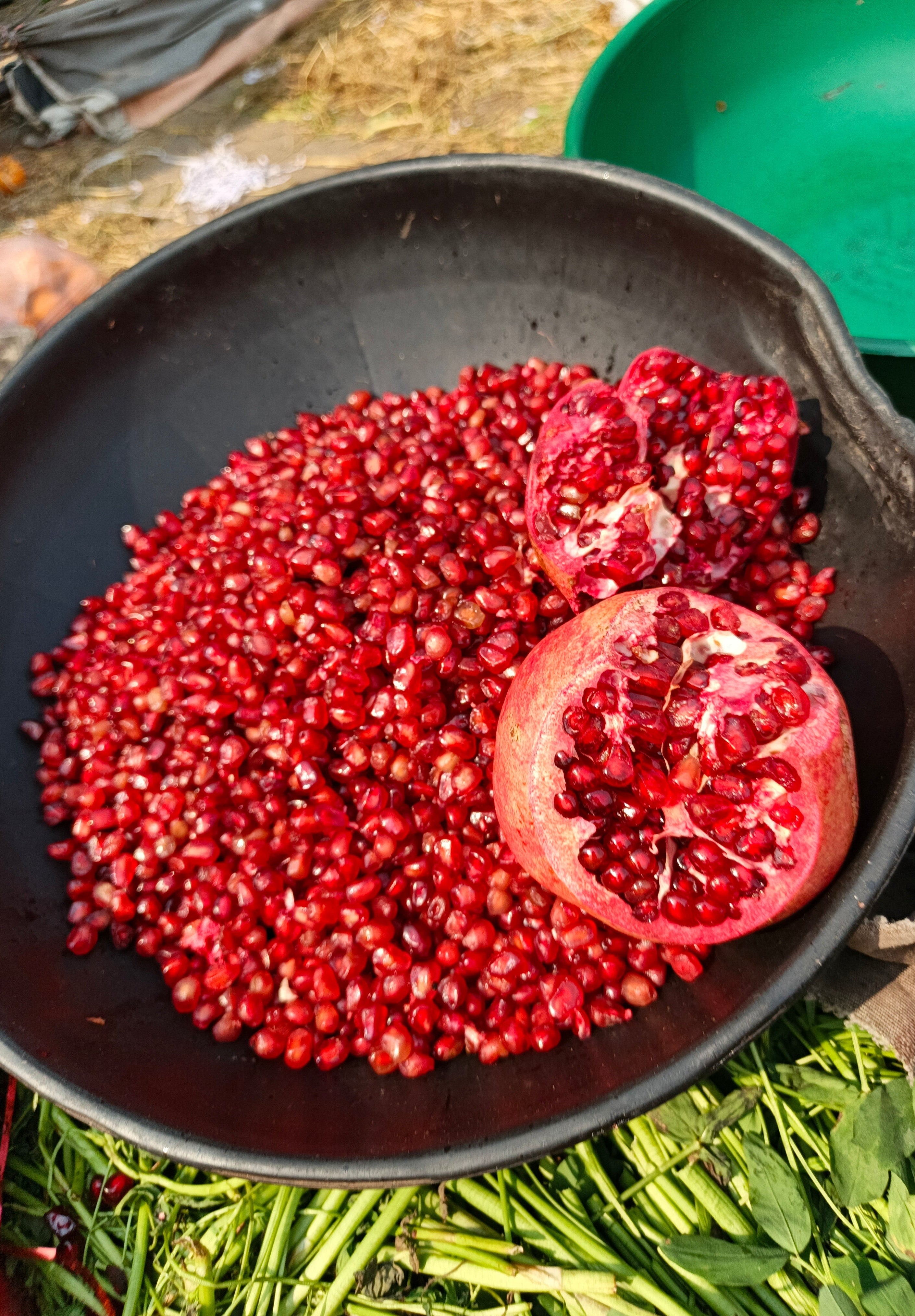 Red khandhari Annar - A grade export quality